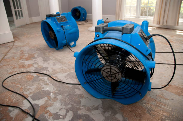 Best 24-hour water damage restoration  in Hawarden, IA